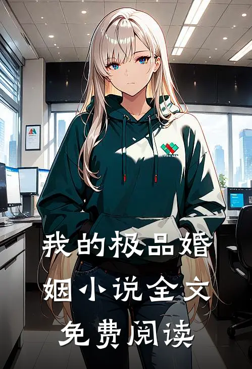 我的极品婚姻小说全文免费阅读