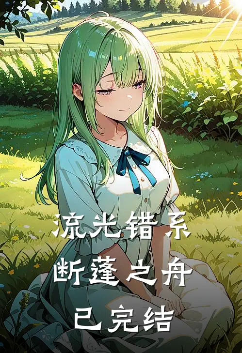 流光错系断蓬之舟已完结