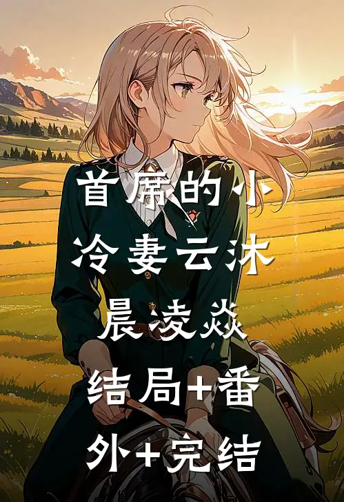首席的小冷妻云沐晨凌焱:结局+番外+完结