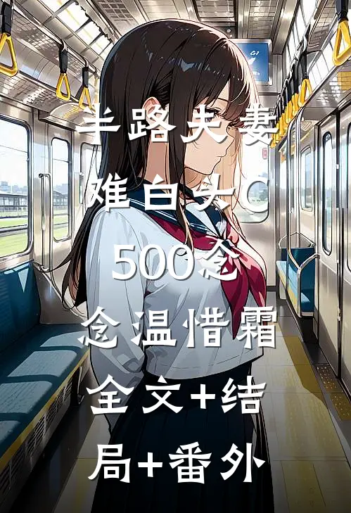 半路夫妻难白头C500念念温惜霜:全文+结局+番外