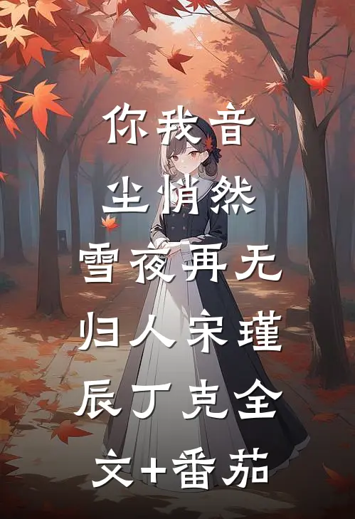 你我音尘悄然，雪夜再无归人宋瑾辰丁克全文+番茄