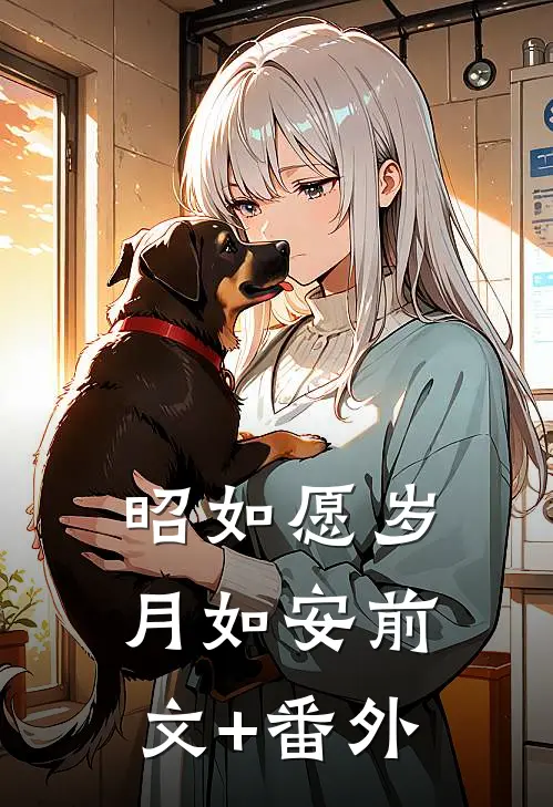 昭如愿岁月如安前文+番外