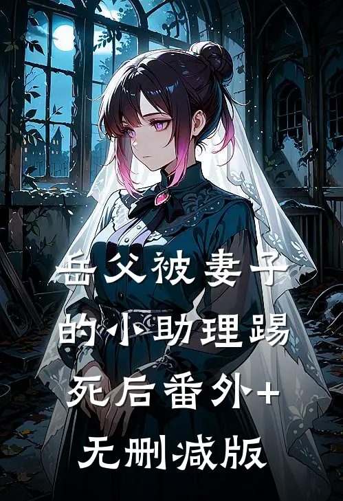 岳父被妻子的小助理踢死后番外+无删减版