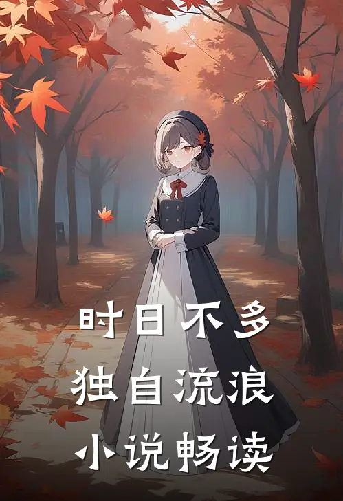 时日不多，独自流浪小说畅读