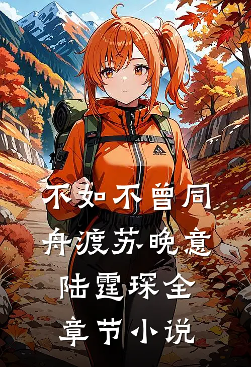 不如不曾同舟渡苏晚意陆霆琛全章节小说
