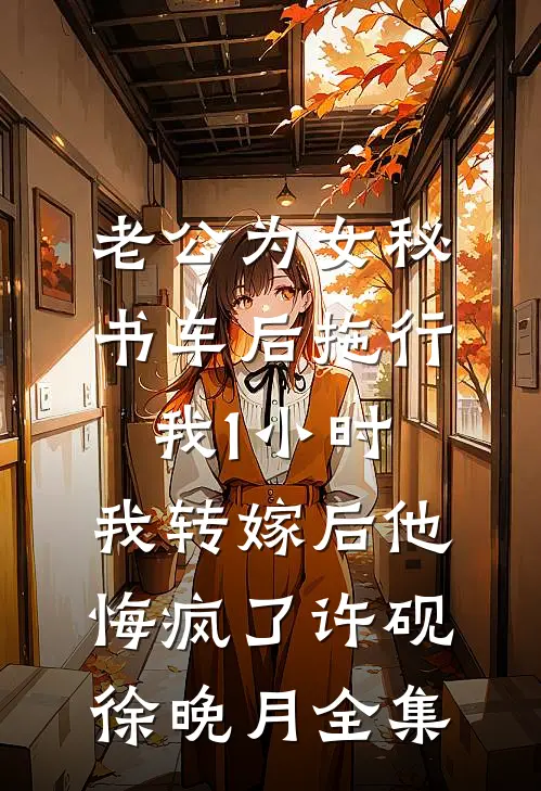 老公为女秘书车后拖行我1小时，我转嫁后他悔疯了许砚徐晚月全集
