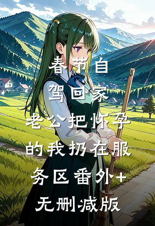 春节自驾回家，老公把怀孕的我扔在服务区番外+无删减版