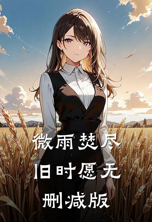 微雨焚尽旧时愿无删减版