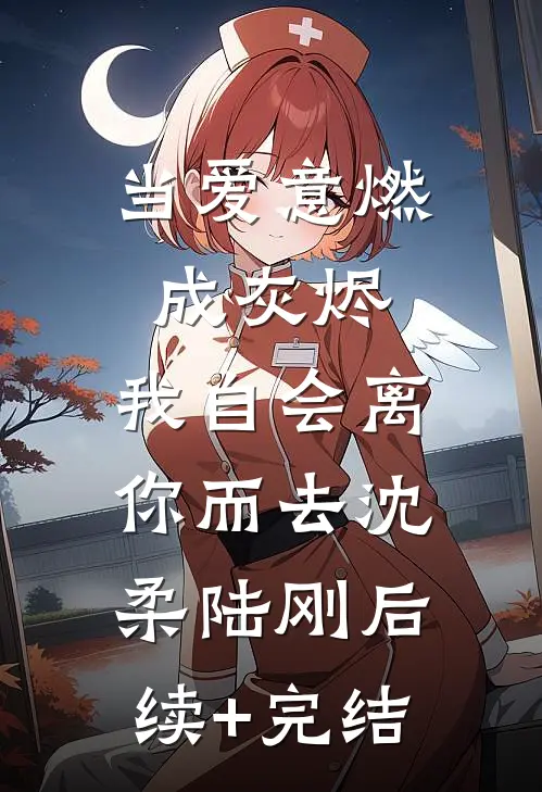 当爱意燃成灰烬，我自会离你而去沈柔陆刚后续+完结