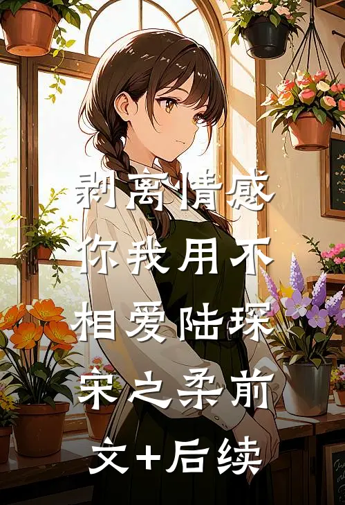 剥离情感，你我用不相爱陆琛宋之柔前文+后续