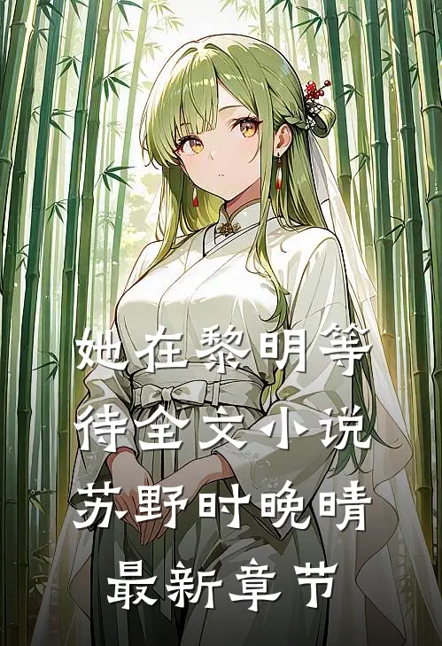 她在黎明等待全文小说苏野时晚晴最新章节