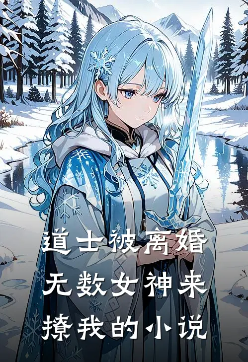 道士被离婚，无数女神来撩我的小说
