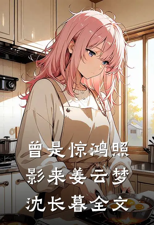 曾是惊鸿照影来姜云梦沈长暮全文