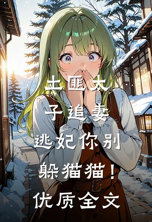 土匪太子追妻：逃妃你别躲猫猫！优质全文