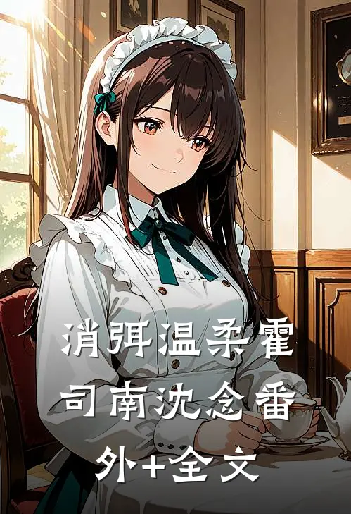 消弭温柔霍司南沈念(番外)+(全文)