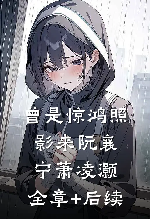 曾是惊鸿照影来阮襄宁萧凌灏:全章+后续