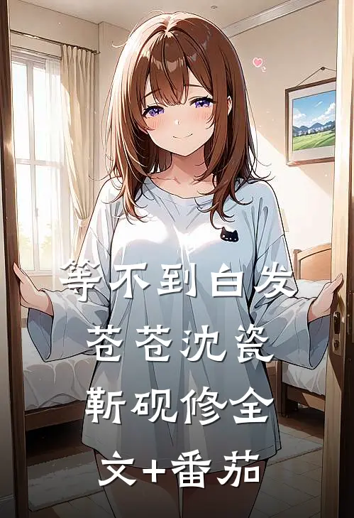 等不到白发苍苍沈瓷靳砚修全文+番茄
