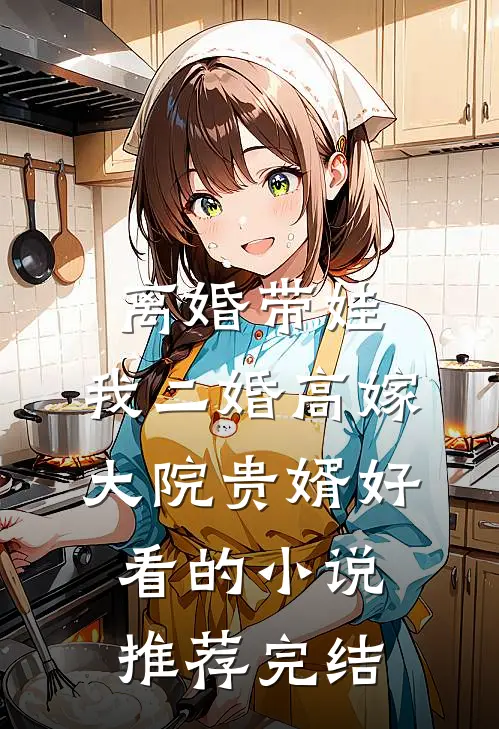 离婚带娃，我二婚高嫁大院贵婿好看的小说推荐完结