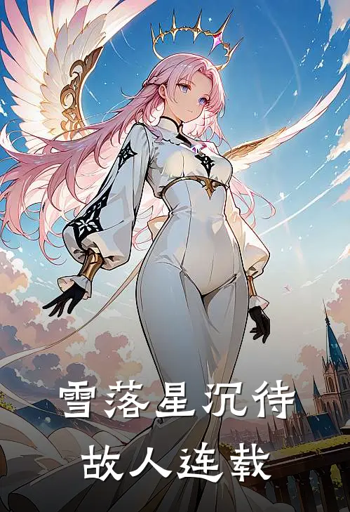 雪落星沉待故人连载