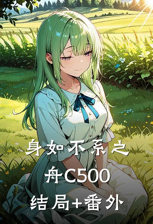 身如不系之舟C500:结局+番外