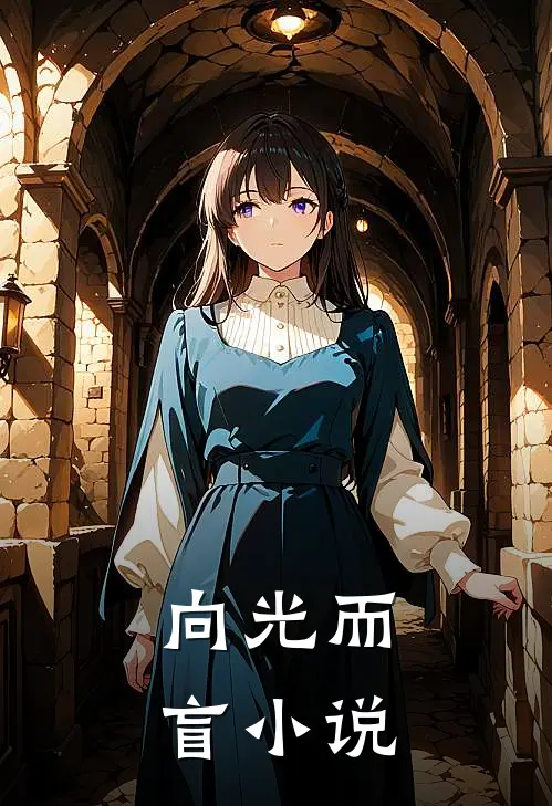 向光而盲小说