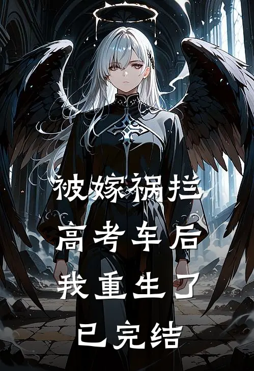 被嫁祸拦高考车后，我重生了已完结
