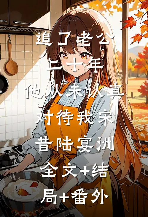 追了老公二十年，他从未认真对待我宋昔陆宴洲:全文+结局+番外