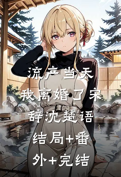 流产当天，我离婚了宋辞沈楚语:结局+番外+完结
