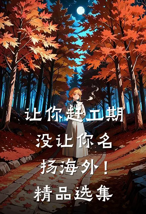 让你赶工期，没让你名扬海外！精品选集