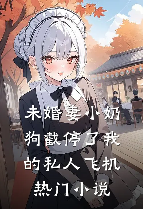 未婚妻小奶狗截停了我的私人飞机热门小说