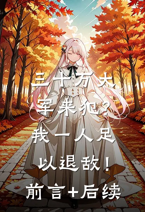 三十万大军来犯？我一人足以退敌！前言+后续
