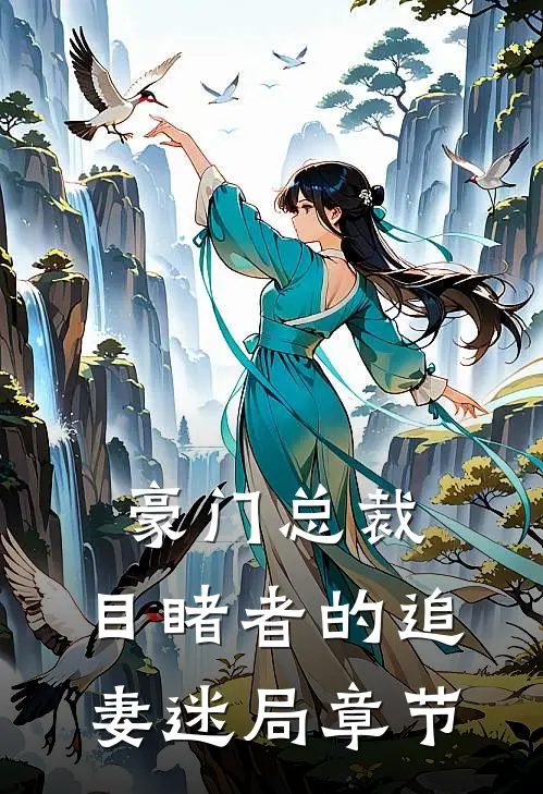 豪门总裁：目睹者的追妻迷局章节