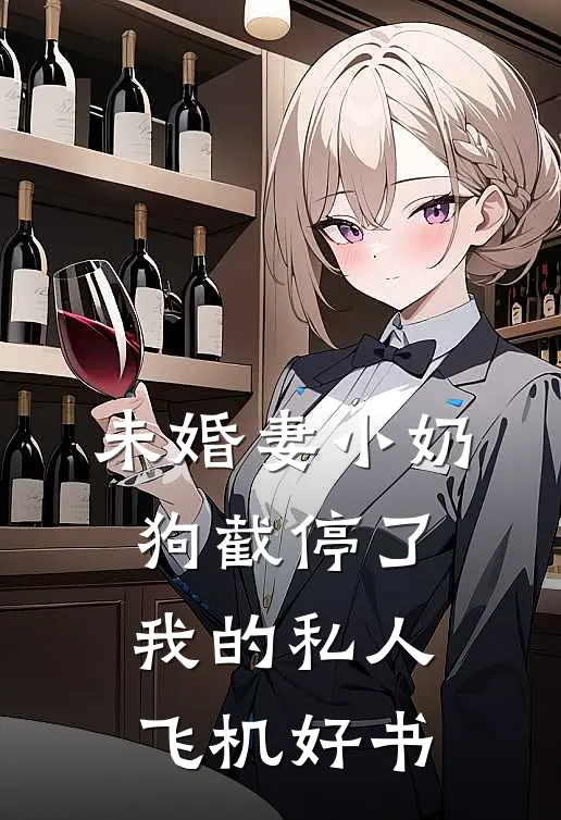 未婚妻小奶狗截停了我的私人飞机好书