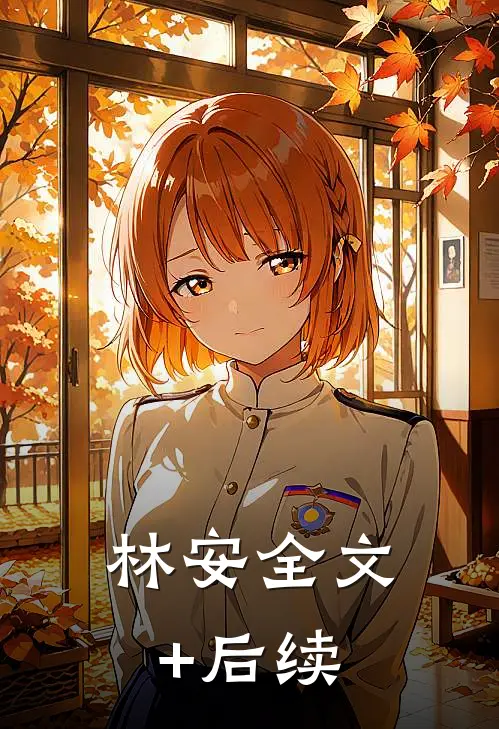 林安全文+后续