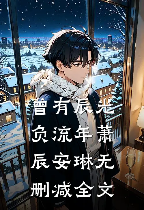 曾有辰光负流年萧辰安琳无删减全文