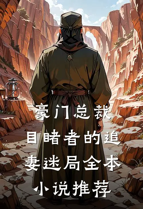 豪门总裁：目睹者的追妻迷局全本小说推荐