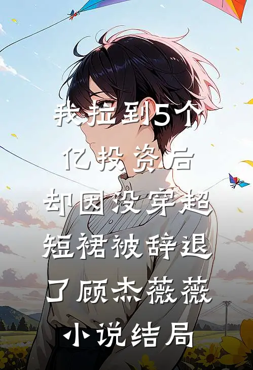 我拉到5个亿投资后，却因没穿超短裙被辞退了顾杰薇薇小说结局